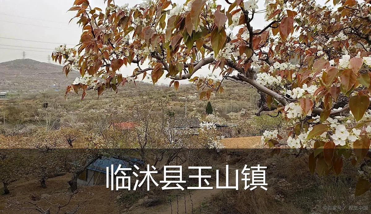 临沭县玉山镇